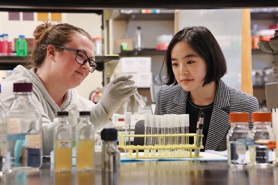 Professor Sangjin Kim and graduate student Brooke Ramsey examine vials at a laboratory table.