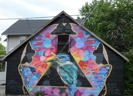 Mural of a kingfisher in Champaign, Illinois